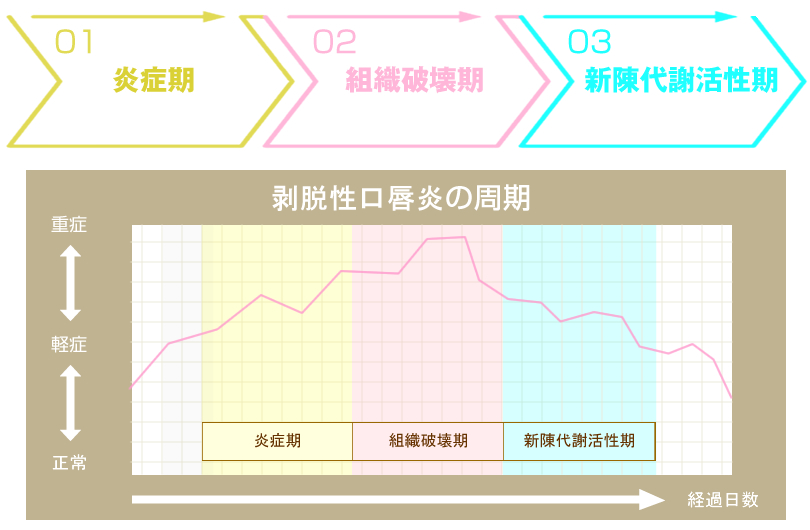 剥脱性口唇炎の周期